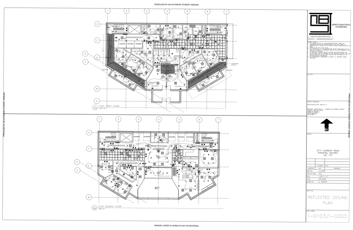 Wellness Centre: Reflected Ceiling Plan